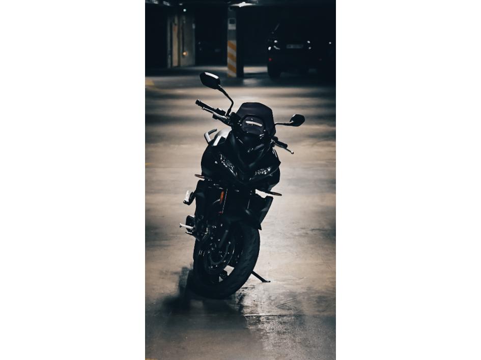 Tiger Sport 660