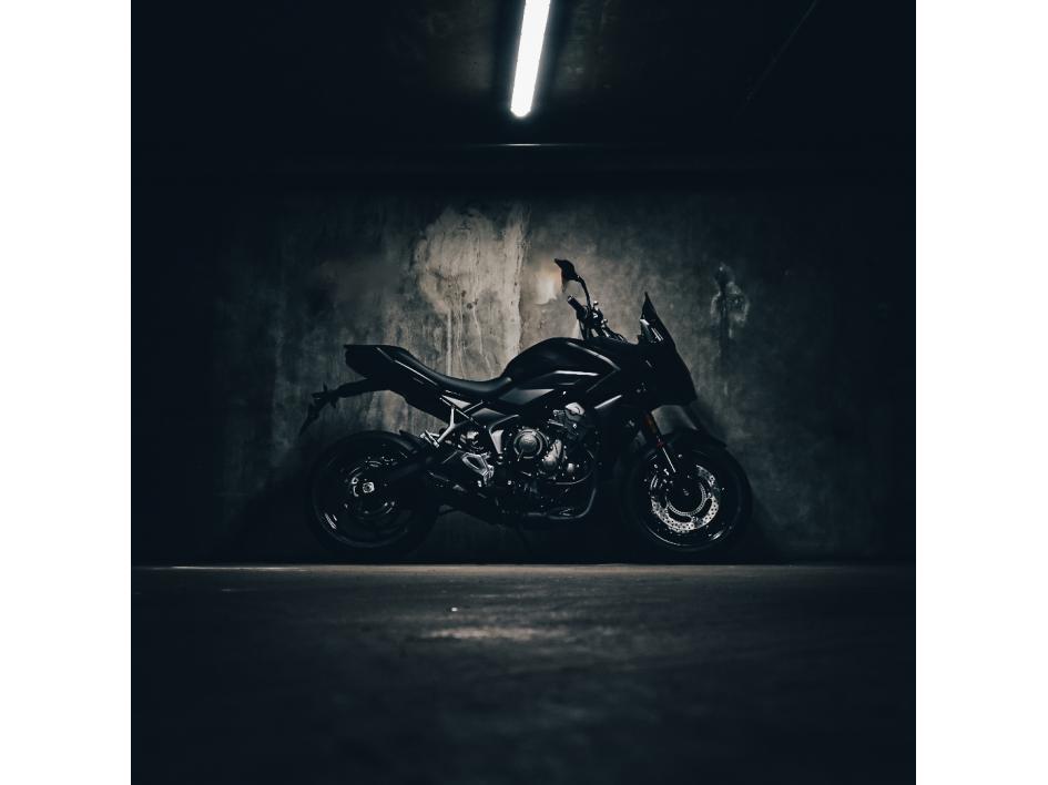 Tiger Sport 660
